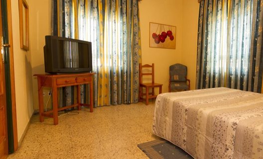 Hotel Fenix
