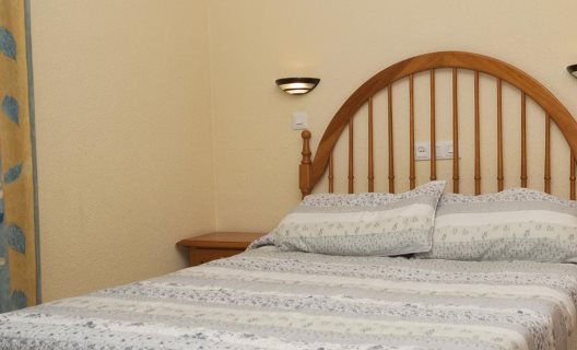 Hotel Fenix