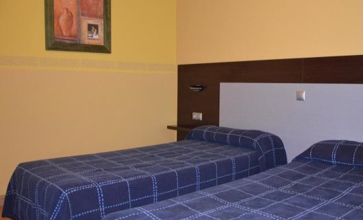 Hotel Fenix