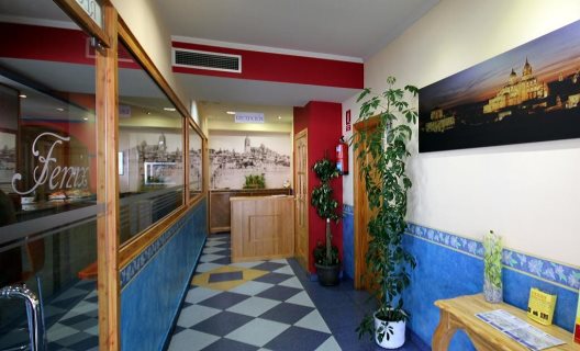 Hotel Fenix