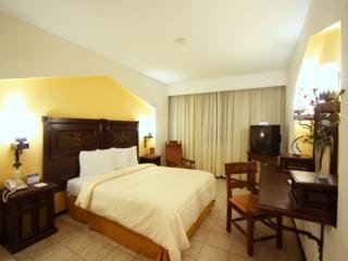 Hotel Fenix
