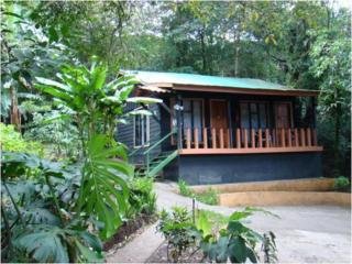 Hotel Ficus