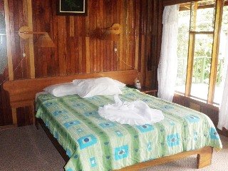 Hotel Ficus