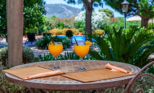 Hotel Finca-agroturismo Ca´s Curial