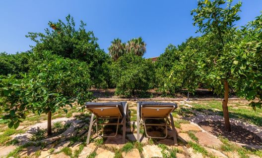 Hotel Finca-agroturismo Ca´s Curial