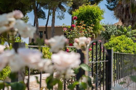 Hotel Finca Les Fanecaes
