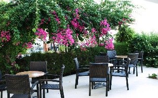 Hotel Flamingo Beach