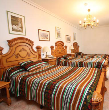 Hotel Flor De La Mancha