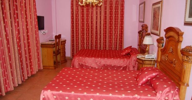 Hotel Flor De La Mancha