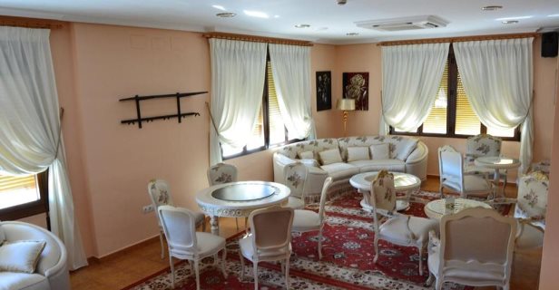 Hotel Flor De La Mancha