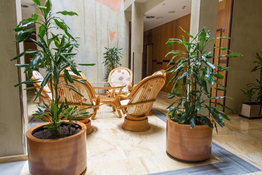 Hotel Flor Parks