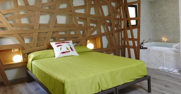 Hotel Galería Essentia