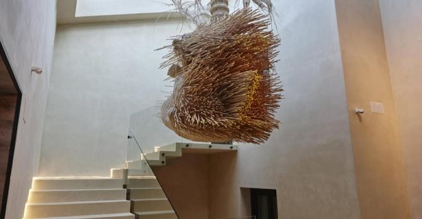 Hotel Galería Essentia