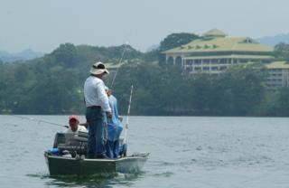 Hotel Gamboa Rainforest Resort