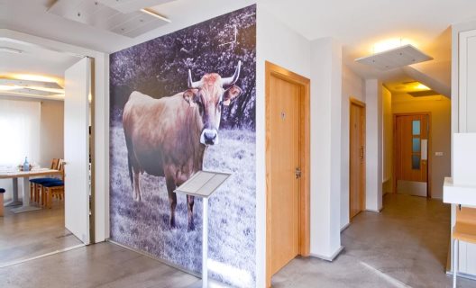 Hotel Gastronómico Boavista