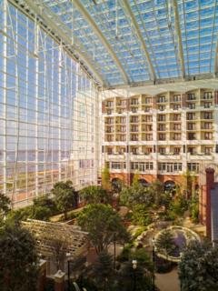 Hotel Gaylord National