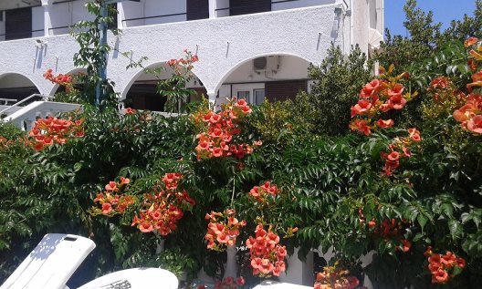 Hotel Gouvia