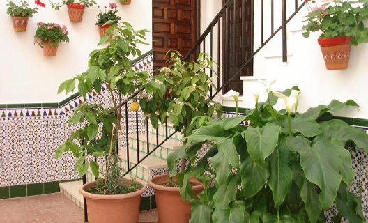 Hotel Goya