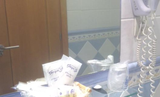 Hotel Goya