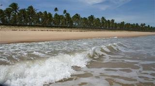 Hotel Grand Palladium Imbassai Resort & Spa