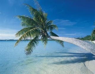 Hotel Grand Palladium Jamaica Resort Spa All Inclusive