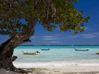 Hotel Grand Resorts At Cap Cana Sanctuary, A Salamander