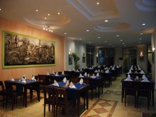 Hotel Grand Viking