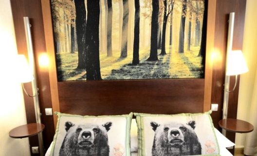 Hotel Green Confort Paris 13