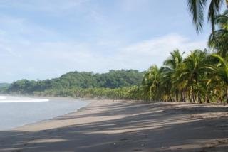 Hotel Guanamar Beach Resort