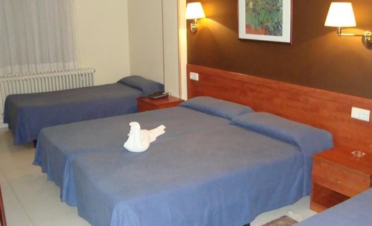 Hotel Guineu