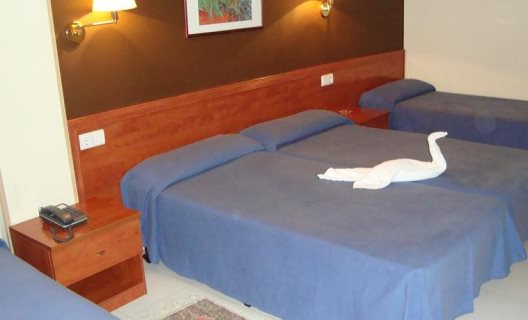 Hotel Guineu