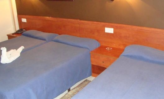 Hotel Guineu