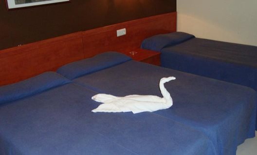 Hotel Guineu