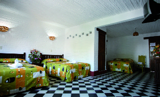 Hotel Hacienda De Vallarta Centro