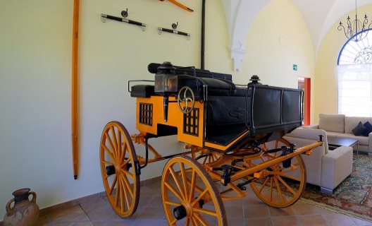 Hotel Hacienda Montenmedio