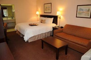 Hotel Hampton Inn Albany-at Albany Mall