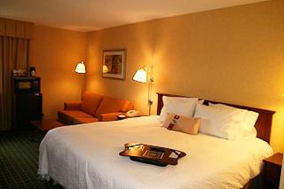 Hotel Hampton Inn Albany-latham