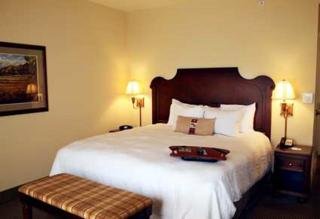 Hotel Hampton Inn And Suites