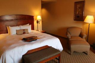 Hotel Hampton Inn And Suites Brownsville