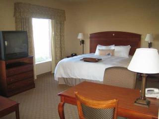 Hotel Hampton Inn And Suites Brownsville