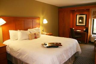 Hotel Hampton Inn Ann Arbor-south