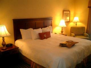 Hotel Hampton Inn Atl-lawrenceville-i-85-sugarloaf