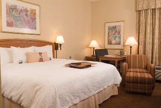 Hotel Hampton Inn Atlanta-cumberland Mall-nw