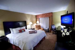 Hotel Hampton Inn Atlanta-georgia Tech-downtown