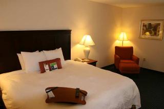 Hotel Hampton Inn Atlanta-mall Of Georgia
