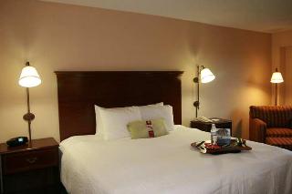 Hotel Hampton Inn Atlanta-perimeter Center