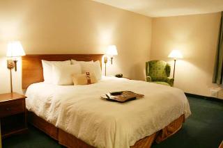 Hotel Hampton Inn Atlanta-southlake