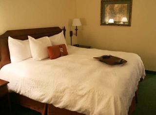 Hotel Hampton Inn Atlanta-stone Mountain