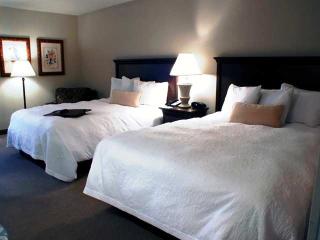 Hotel Hampton Inn Baltimore-washington International