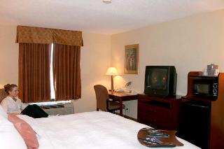 Hotel Hampton Inn Batavia